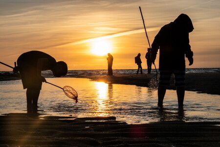 Ein Sommerabend am Meer